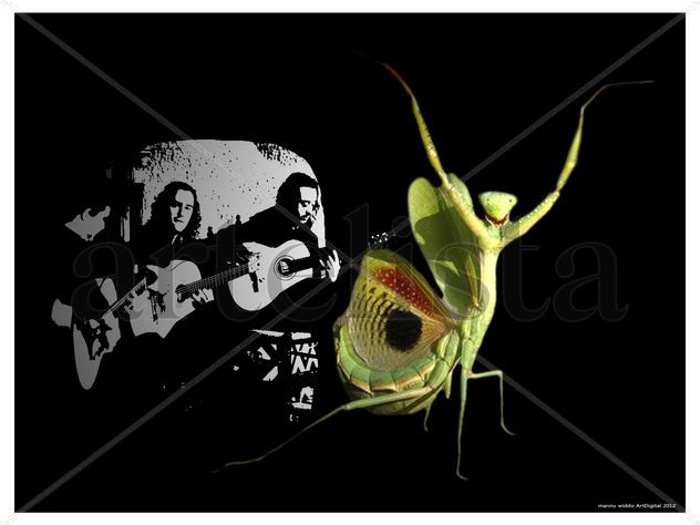 EL BAILE DE LA MANTIS