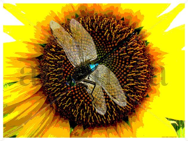 LIBÉLULA Y GIRASOL