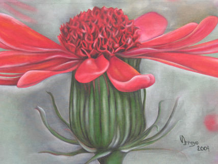 Roja, natural