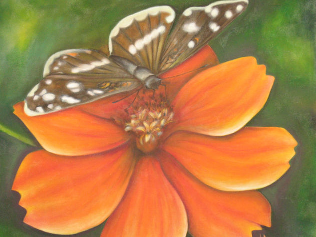 mariposa Oil Canvas Floral Painting