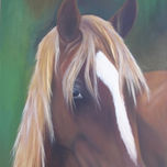 animales thumbnail 2