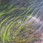 naturaleza,bodegon, entre el realismo magico y expresionismo abstracto. thumbnail 1