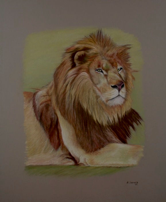 Rey león