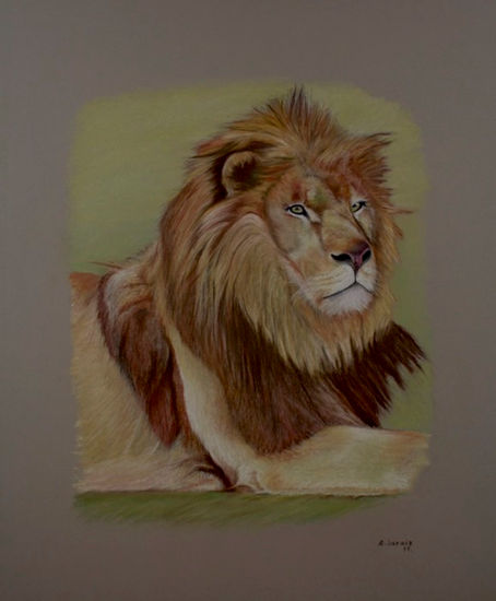 Rey león Pastel Papel Animales