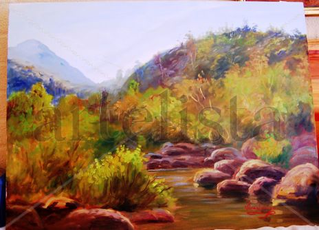 Estero y cordillera