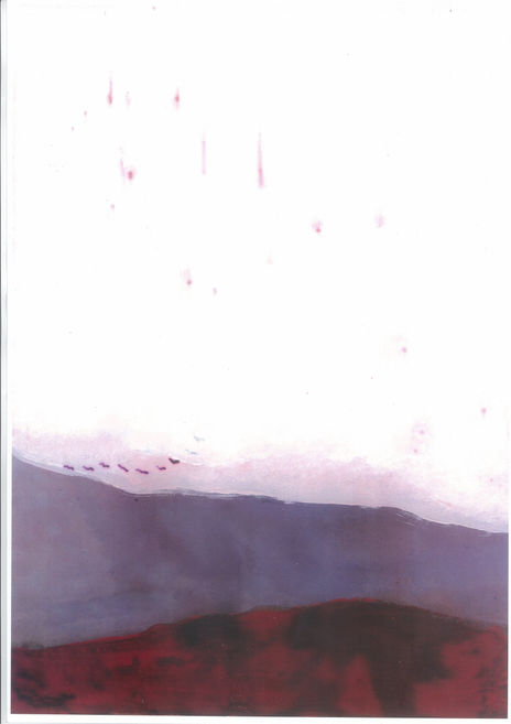 Meteoritos