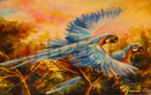 Guacamayos azules Oil Canvas Animals