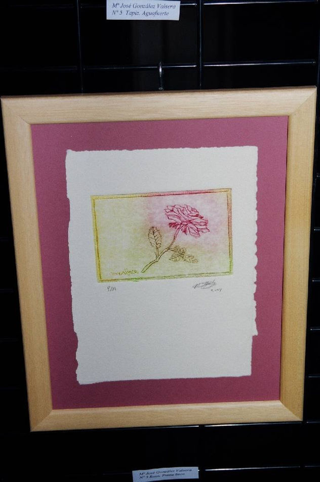 Rosa