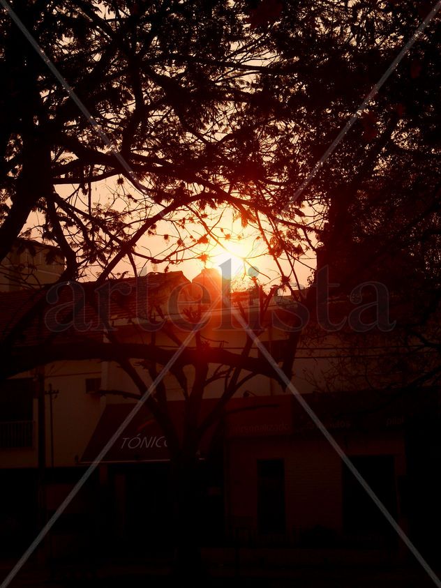 Haz de luz