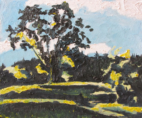 The Shaded Tree