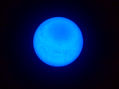 Blue Moon