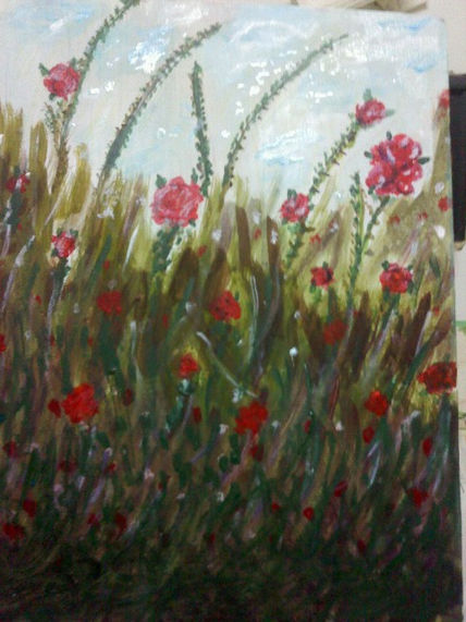 Campo