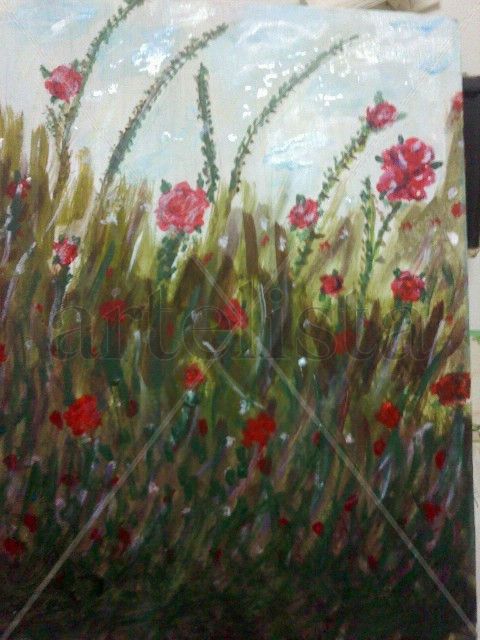 Campo