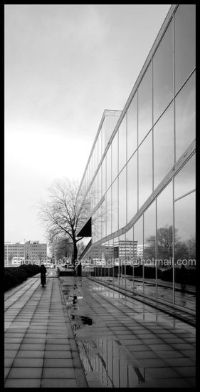 Educatorium Arquitectura e interiorismo Blanco y Negro (Digital)