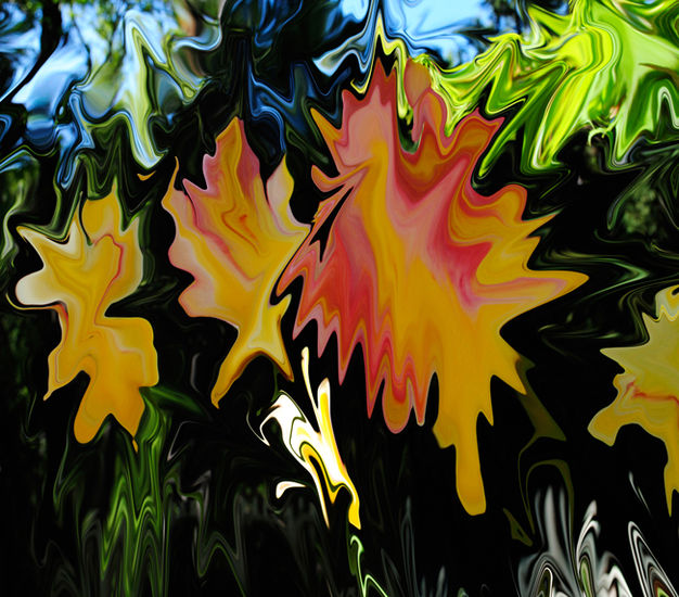 jardín Conceptual/Abstract Color (Digital)