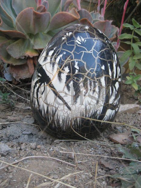Juasic´s egg