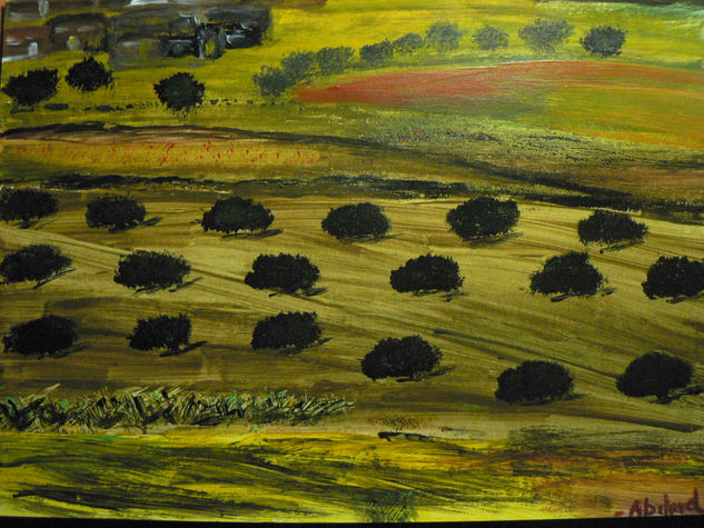 Campos de olivos Acrylic Card Landscaping