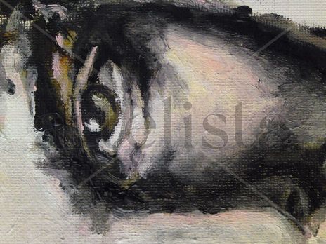 Ojo