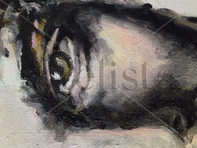 ojo Oil Canvas Portrait