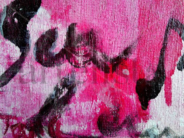 fondo de color rosa