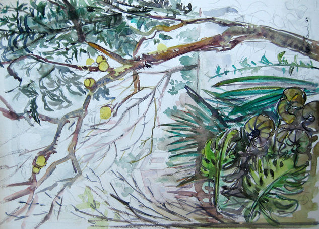 Otro viejo limonero Watercolour Paper Landscaping