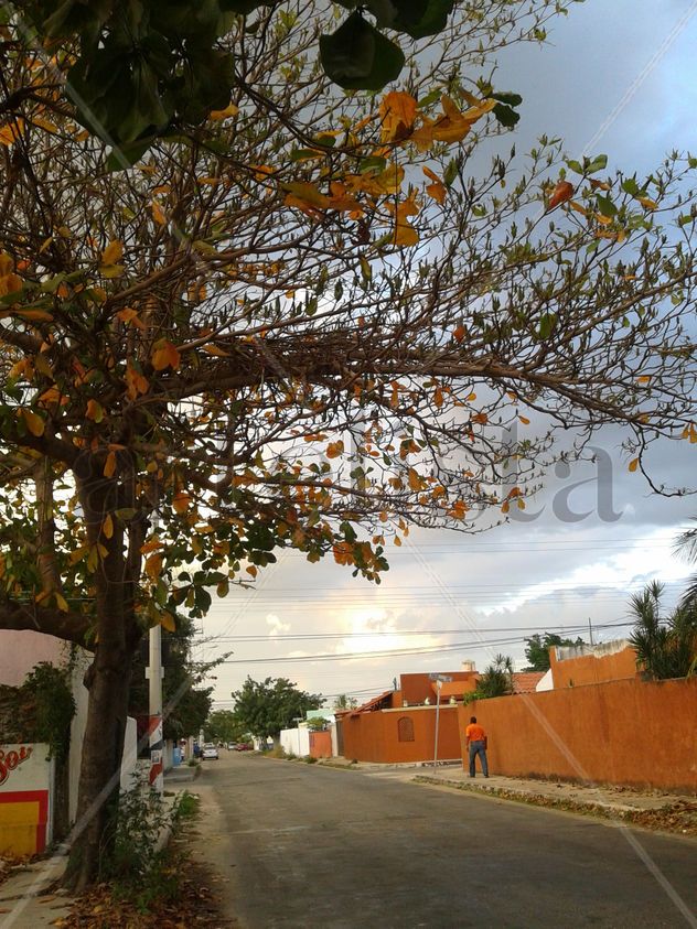 OLVIDO