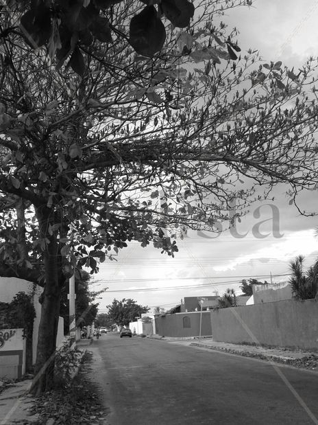 Olvido i