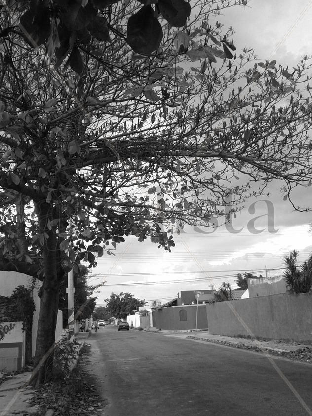 OLVIDO I