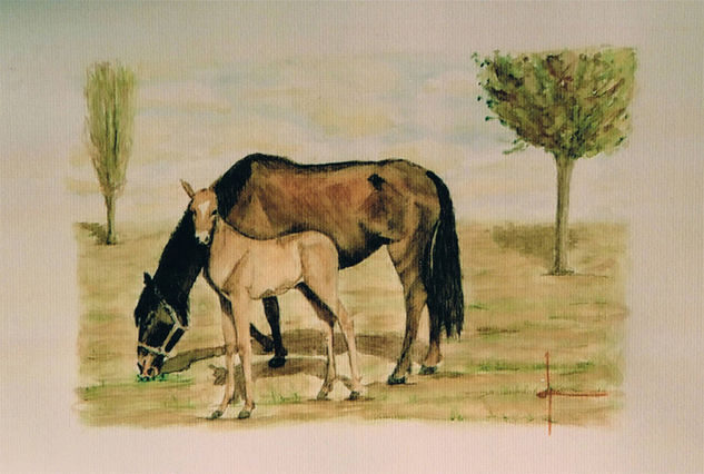 Caballos Watercolour Paper Landscaping