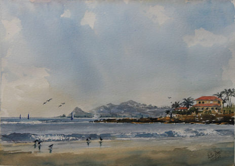 Vida en la playa