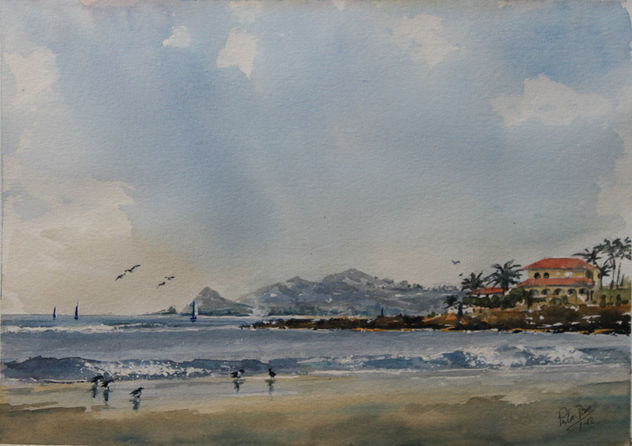 vida en la playa