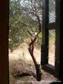 Una Ventana