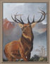 Venado