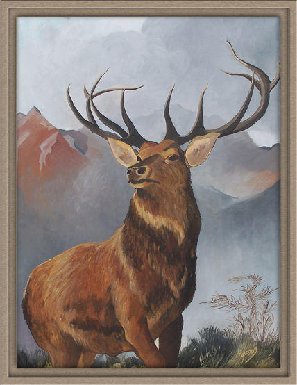 Venado