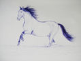 Caballo al galope.