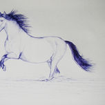 Animales thumbnail 2