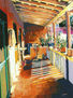 LUZ Y COLOR EN PERSPECTIVA