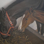 Animales thumbnail 1
