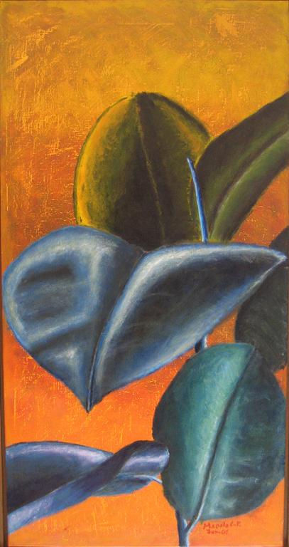 Ficus