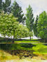 PRIMAVERA