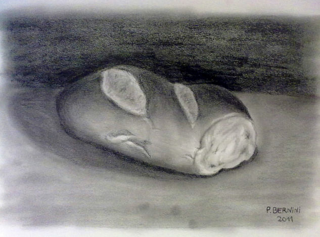 dibujo 2 Charcoal