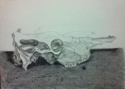 Dibujo 10