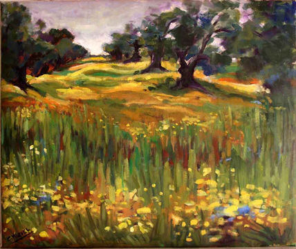 Olivos en doñana