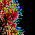 Arte Digital thumbnail 1