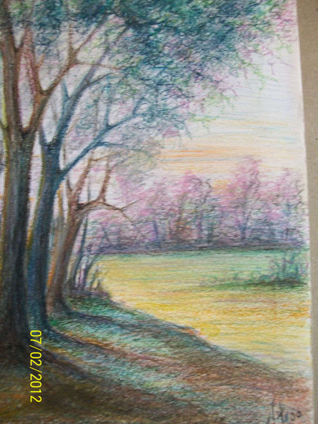 CIELO ROSADO