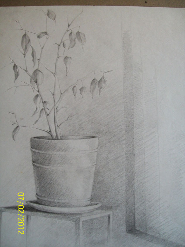 SUTILEZA 2