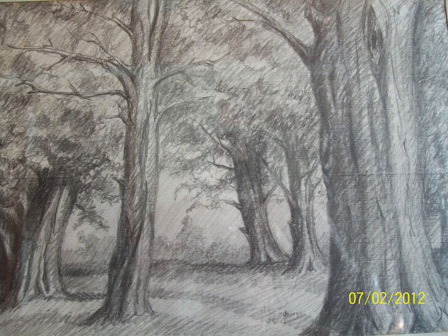 MIS AMADOS ARBOLES