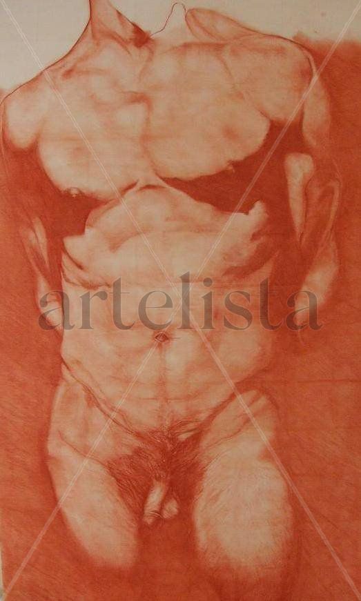 TORSO