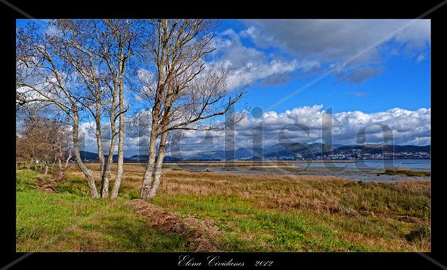 Estuario