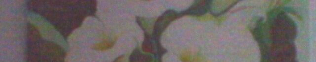 Imagen de portada